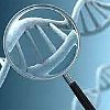 ПЦР-тест на микоплазмоз (mycoplasma genitalium/hominis)